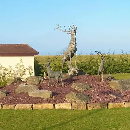 Apple Tree Lodge Hot Tub 3 Bedroom 2 Bars Morpeth Exterior photo